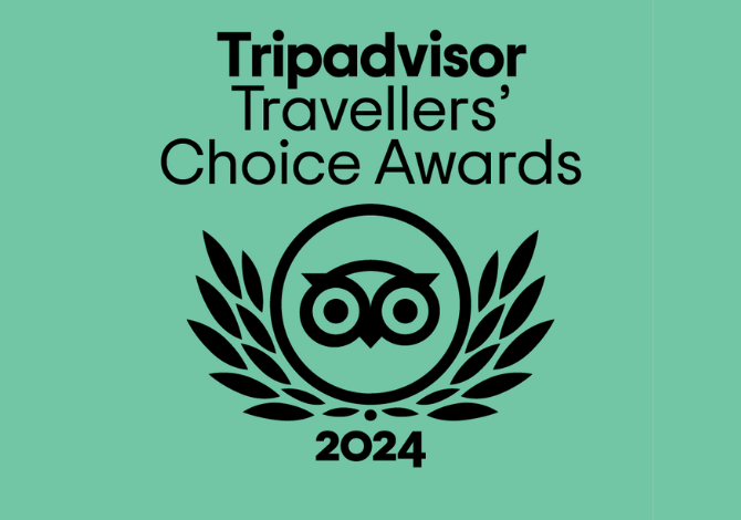 Trip advisor
